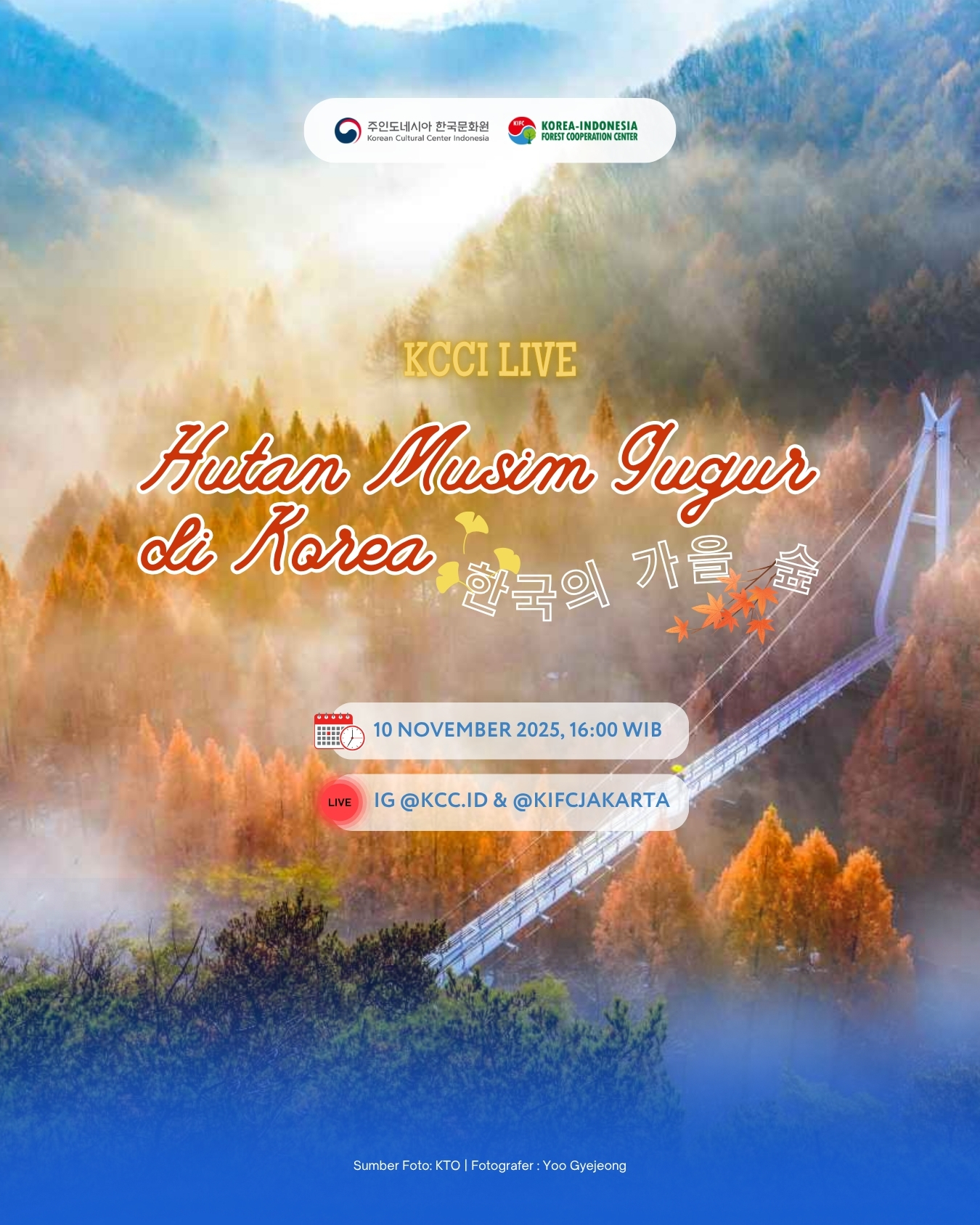 KCCI Live 'Hutan Musim Gugur di Korea'